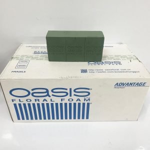 Oasis Box!