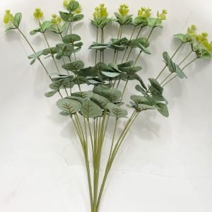 Green bunch