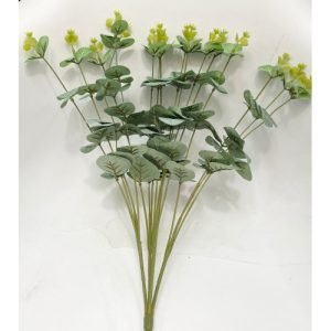 Leaves Short Stem