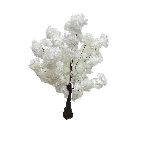 Blossom Plant White