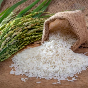 Rice